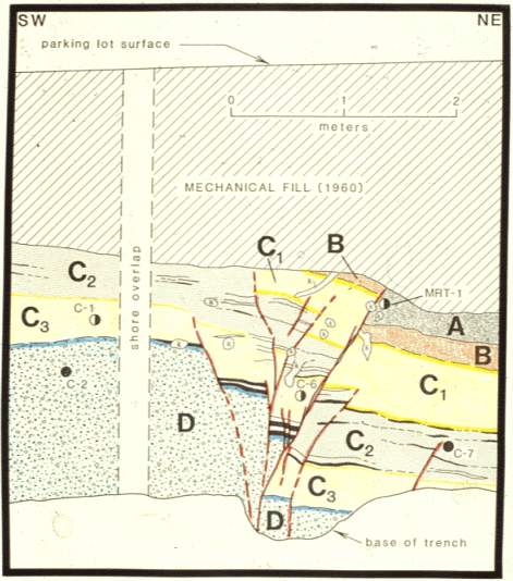 SDSU Rose Canyon Trench Wall Interpretation